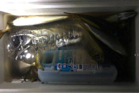 好調アジングが一転...アタリ激減...