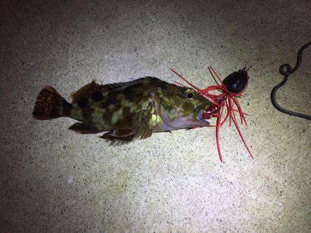 昨日とは打って変わって…