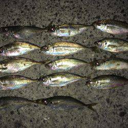 少しサイズダウン