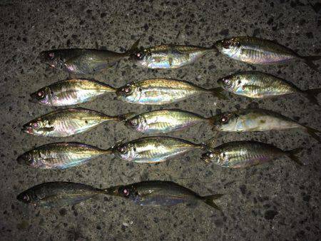 少しサイズダウン