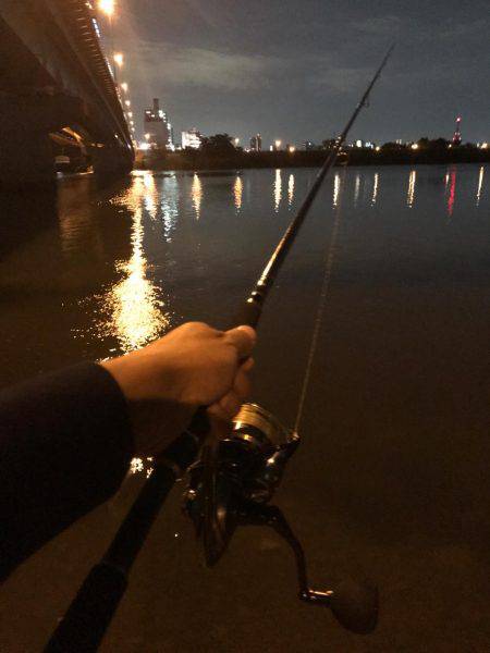 荒川シーバス、ハクパターン！