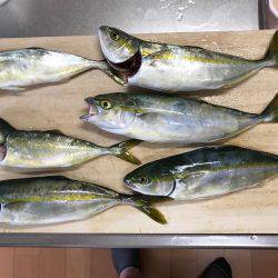 なんとかツバス