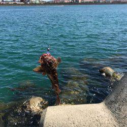 風がキツくてガシリング