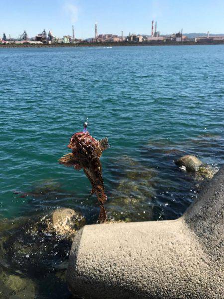 風がキツくてガシリング