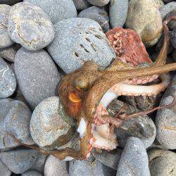 こんなつもりでは。