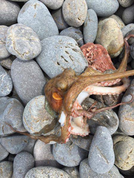 こんなつもりでは。