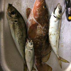 諦めかけていたら