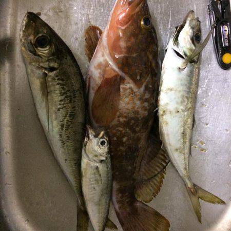 諦めかけていたら