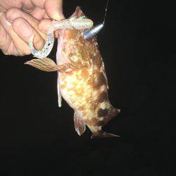 初夏やのに寒い