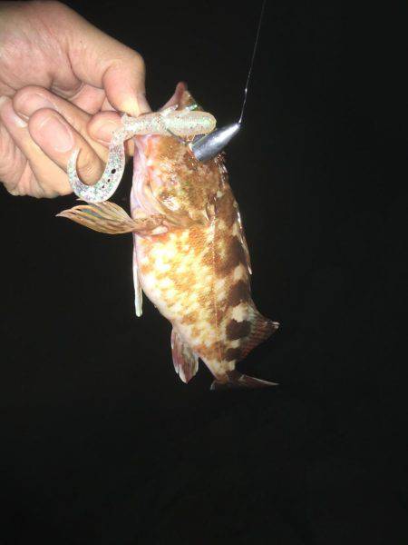 初夏やのに寒い