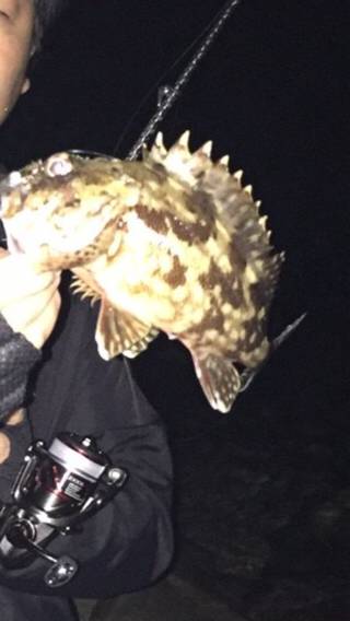 淡路ライトゲーム