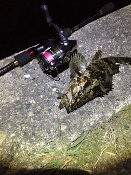 コツ掴みました