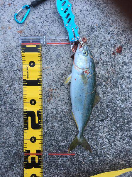 人混みを避けて