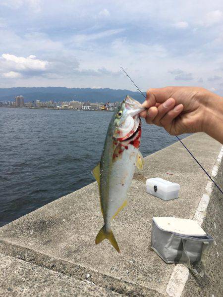 まーくんツバス❗️