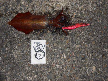 ＳＳＴ（泉南ソルトウォータートーナメント）…