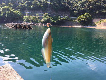 1泊2日の釣り旅行2