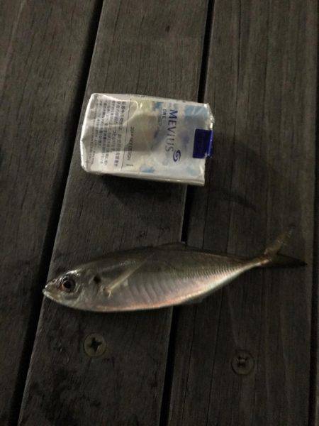 みなとみらい、激渋((((；ﾟДﾟ))))…