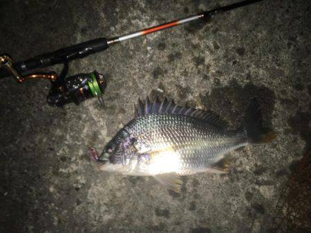 雨上がりのチニング