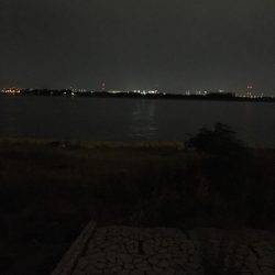 雨上がりのキビレ