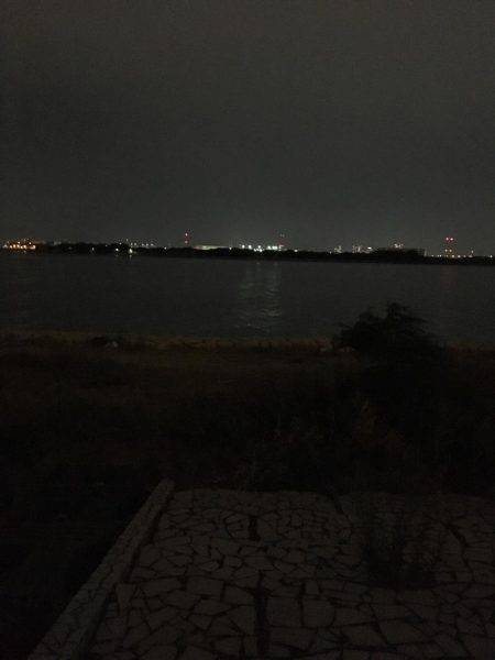 雨上がりのキビレ