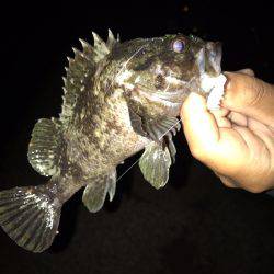 垂水漁港でナイトゲーム！！