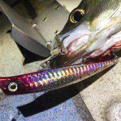 エリア10最強！