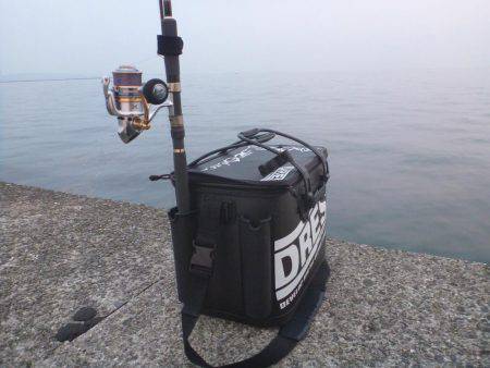 なんとか一匹…(´Д` )