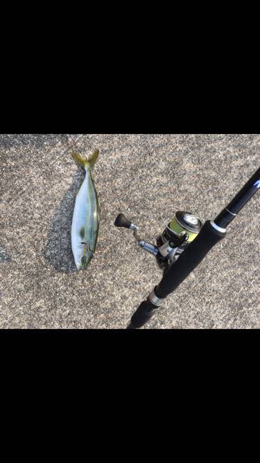 水が濁ってあたりが遠のき…