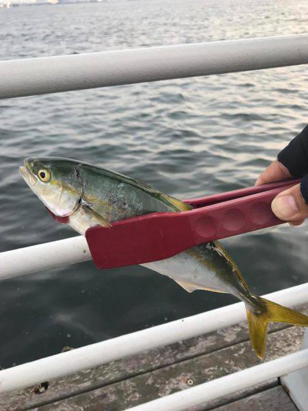 ツバス〜タコゲーム