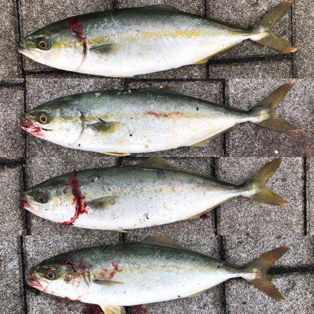 続ツバスゲーム