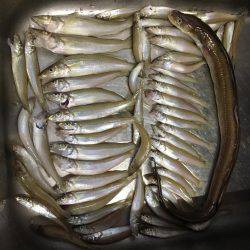 キスパーティ！！！！