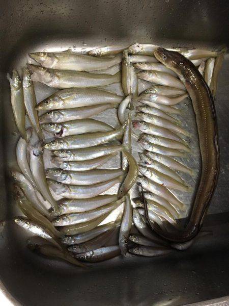 キスパーティ！！！！