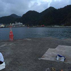 アジングでキロアップイカ