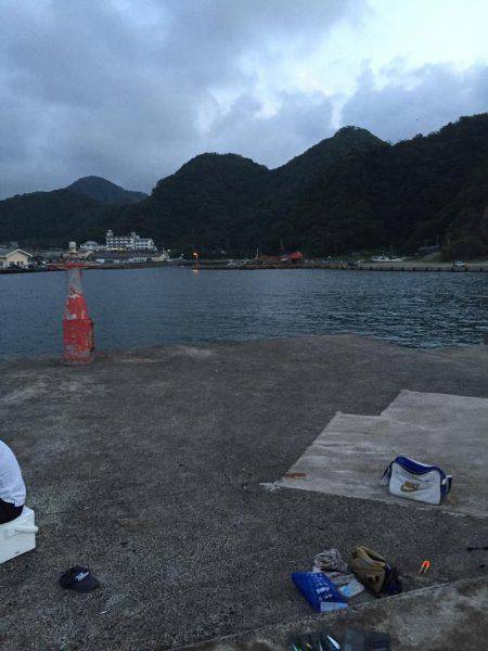 アジングでキロアップイカ