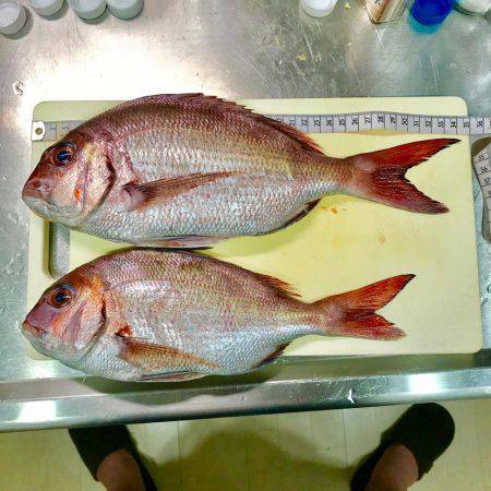 大原沖の一つテンヤ午後船