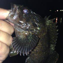 垂水漁港で釣行！！