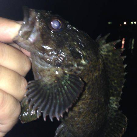 垂水漁港で釣行！！