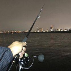 荒川でシーバス狙い