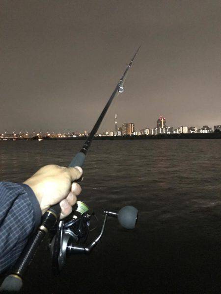 荒川でシーバス狙い