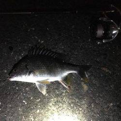 サクッとチニング