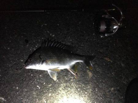 サクッとチニング