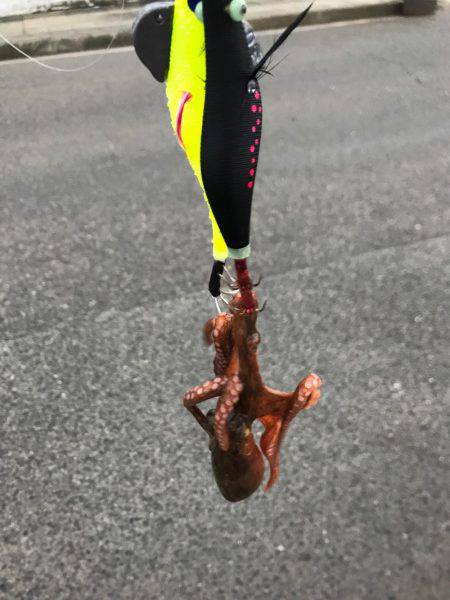 乗りわる〜ぅ。