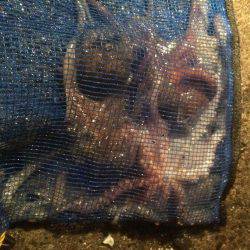 小雨の中行ってきました