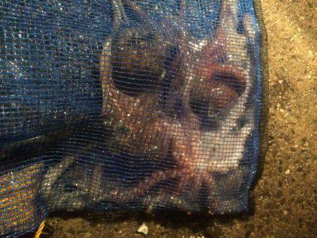 小雨の中行ってきました