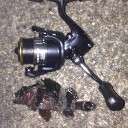 少し小降りの中で垂水漁港で釣行！！