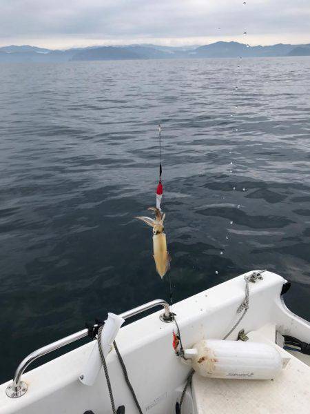 マイボートで昼間のイカメタルゲーム