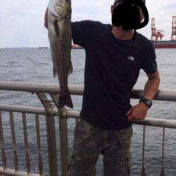 シーバス釣れた！アジ釣れた！