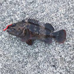 新潟遠征二日目