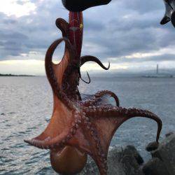 チョット成長したかな？