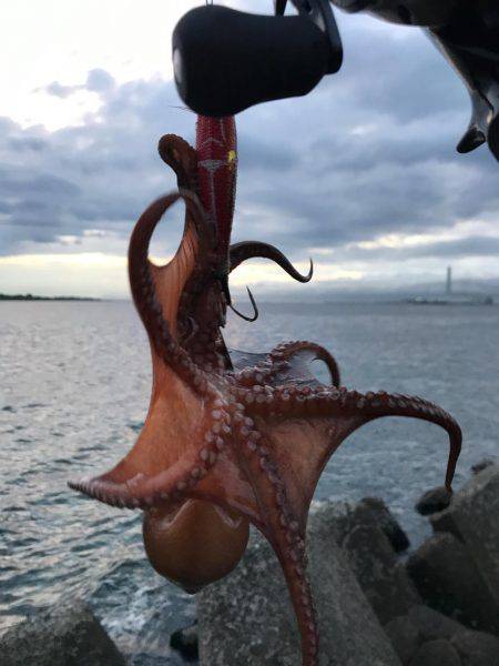 チョット成長したかな？